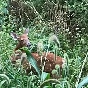 Meet your Posher, Noralyn